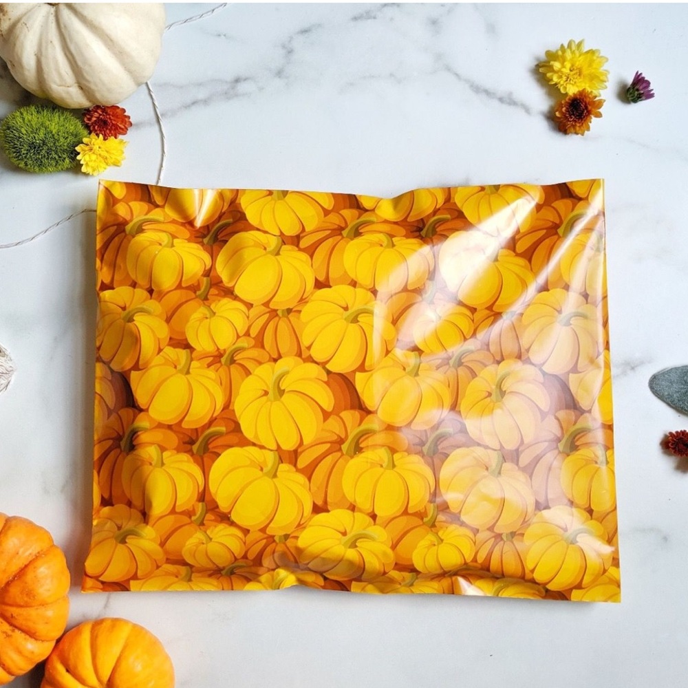 50 10X13 Pumpkin Poly Mailers Shipping Envelopes Bags PRICE IS FIRM Fall - Picture 9 of 10